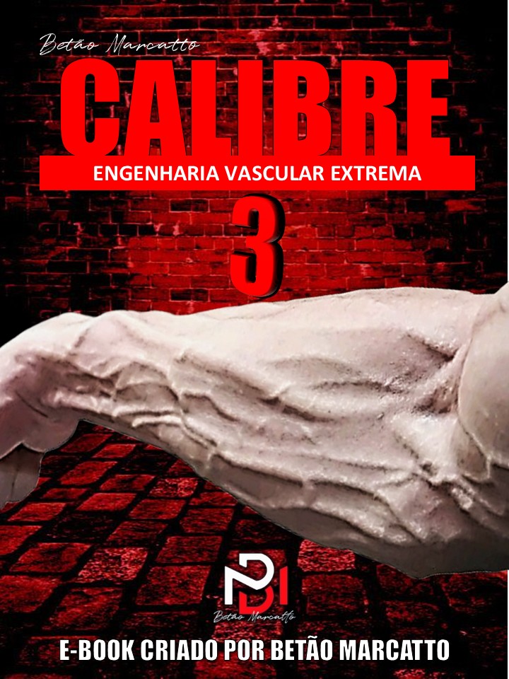 CALIBRE 3 - CAPA.jpg