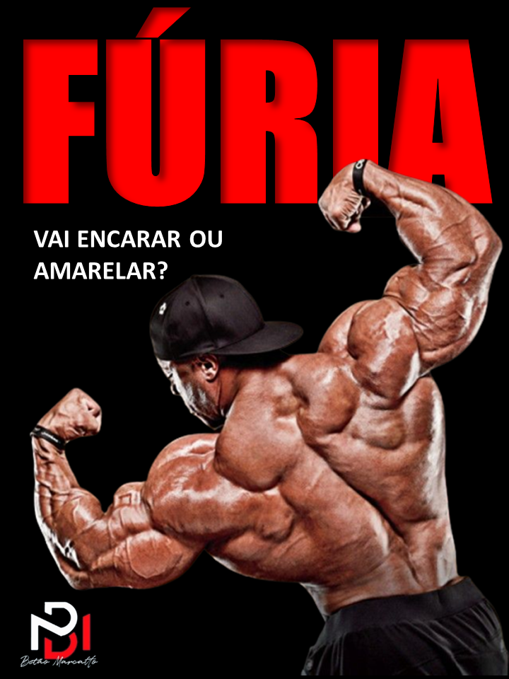 FÚRIA - CAPA.png