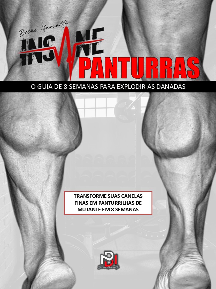 INSANE PANTURRAS - CAPA.jpg