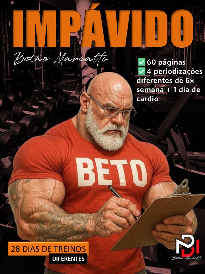 IMPÁVIDO - capa.jpg
