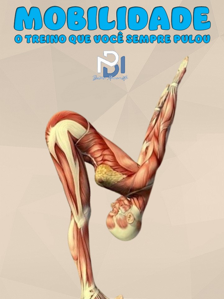 mobilidade - capa.jpg