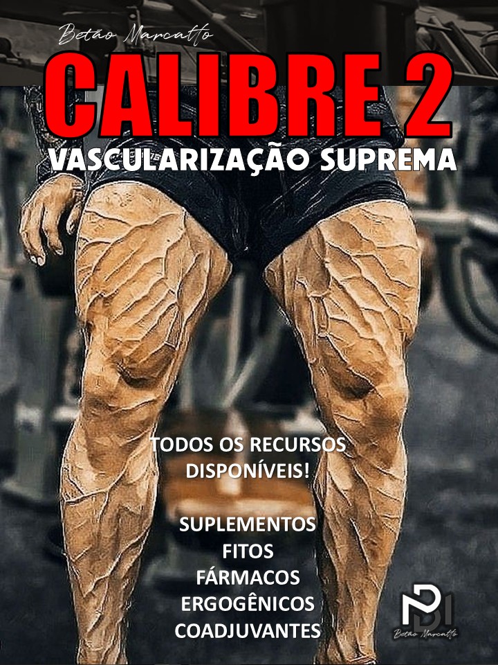 CALIBRE 2 - CAPA.jpg
